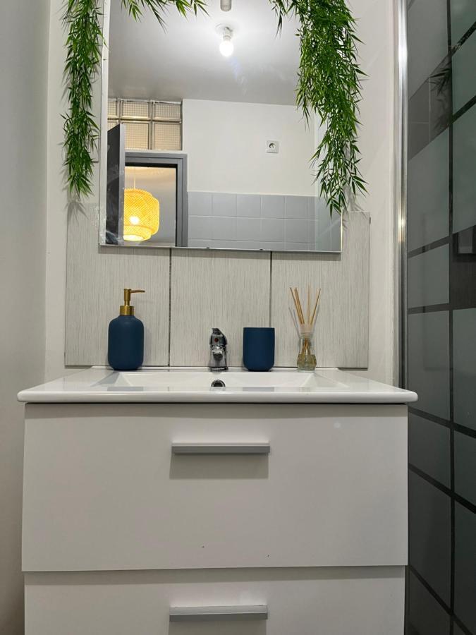 Le Cosy En Coeur De Ville 普拉德 外观 照片